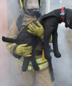 Alternative view of Perro de entrenamiento 10Kg
