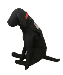 Perro de entrenamiento 10Kg