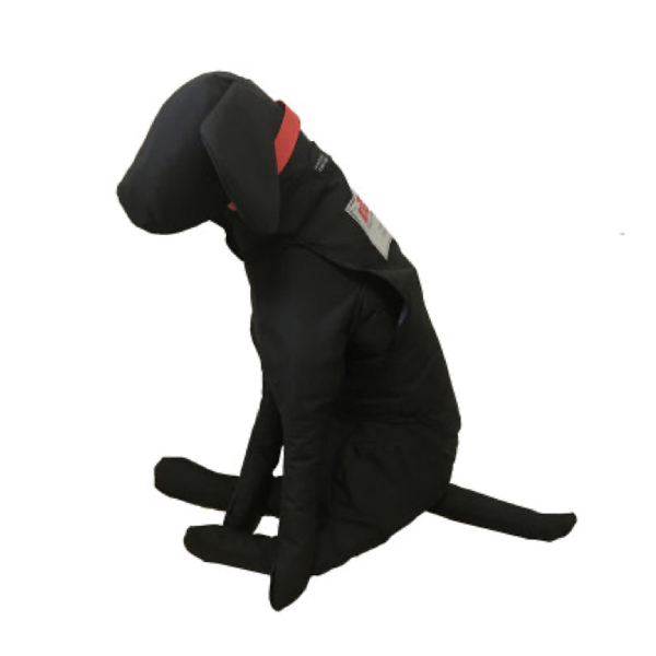 Perro de entrenamiento 10Kg
