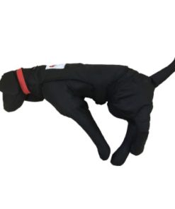 Perro de entrenamiento 10Kg - Imagen 5