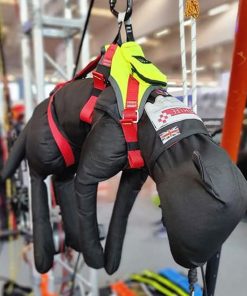 Perro de entrenamiento 10Kg - Imagen 3