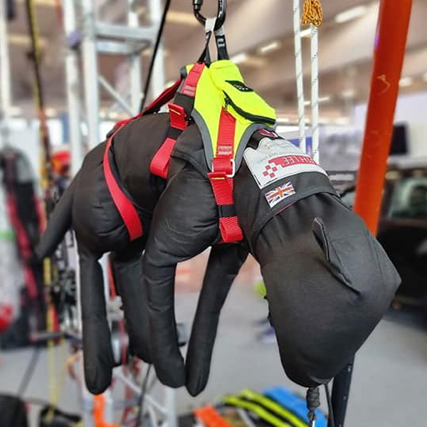 Perro de entrenamiento 10Kg - Imagen 3